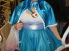 Akicon201162